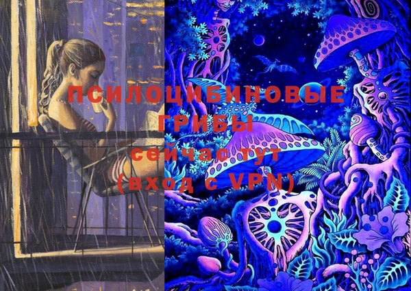 МДПВ Белокуриха