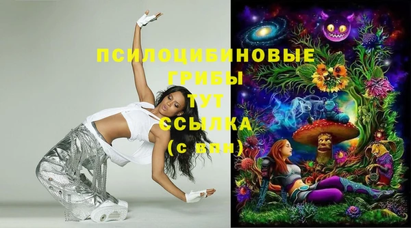 МДПВ Белокуриха