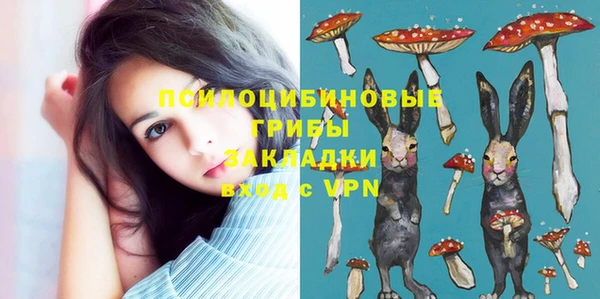 МДПВ Белокуриха