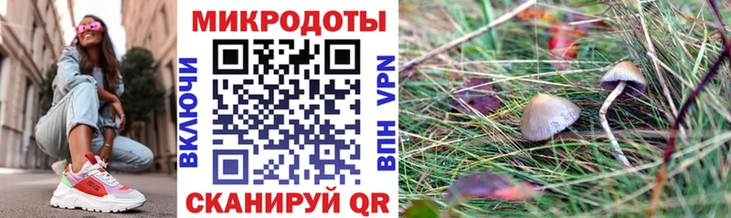 купить  сайты  Кущёвская  Галлюциногенные грибы Magic Shrooms 