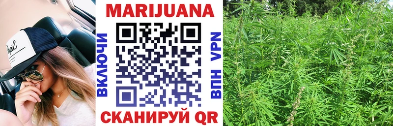 площадка формула Кущёвская Канабис OG Kush